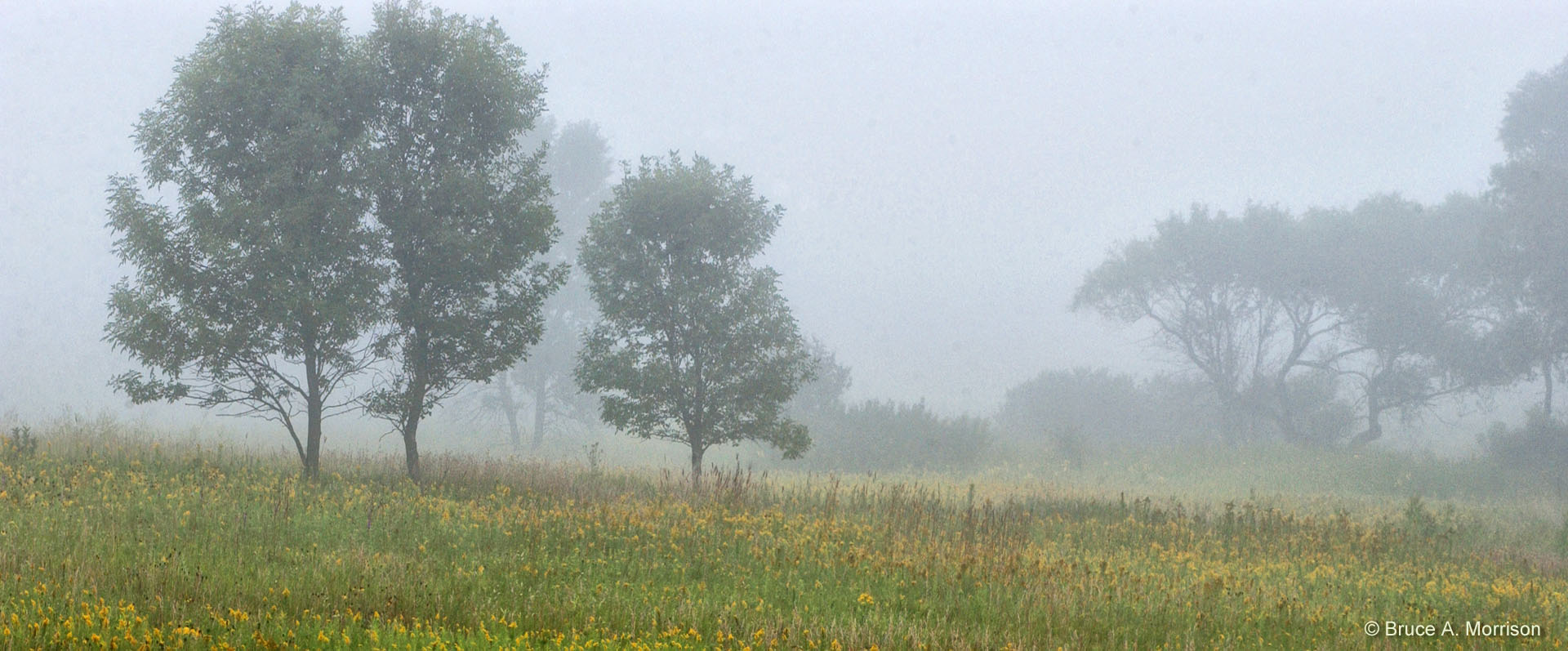 Schneph Wildlife Area - Osceola County